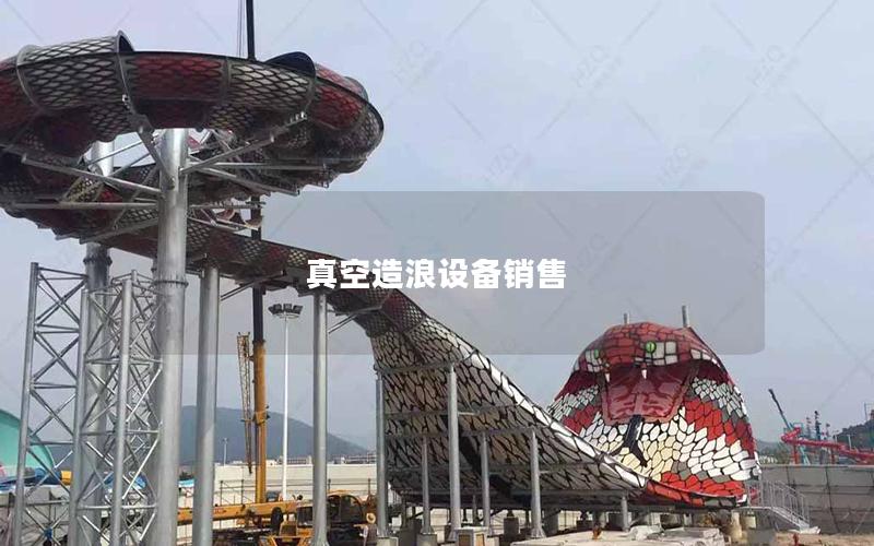 真空造浪設備銷售 真空造浪設備銷售